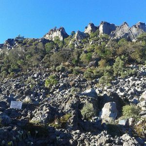 Meet your Posher, Danilo